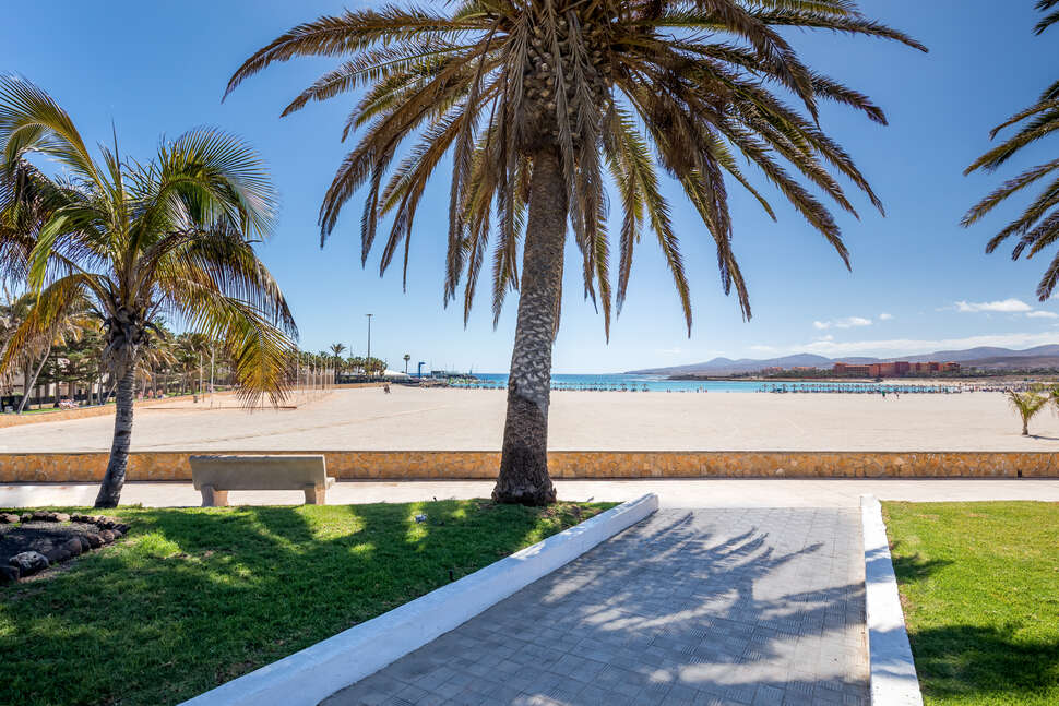 Ein Foto vom Strand beim Barcelo Fuerteventura Royal Level