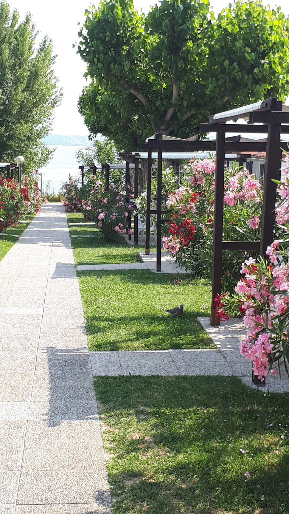 Een foto van Camping Village San Benedetto