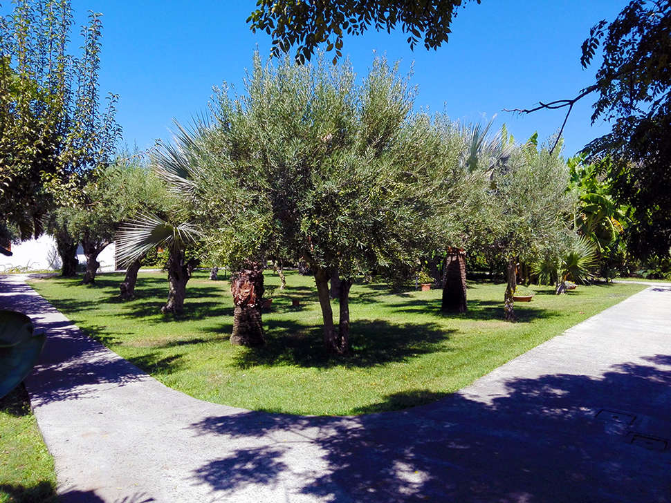 Ein Foto von der Außenansicht des Tonicello Resort