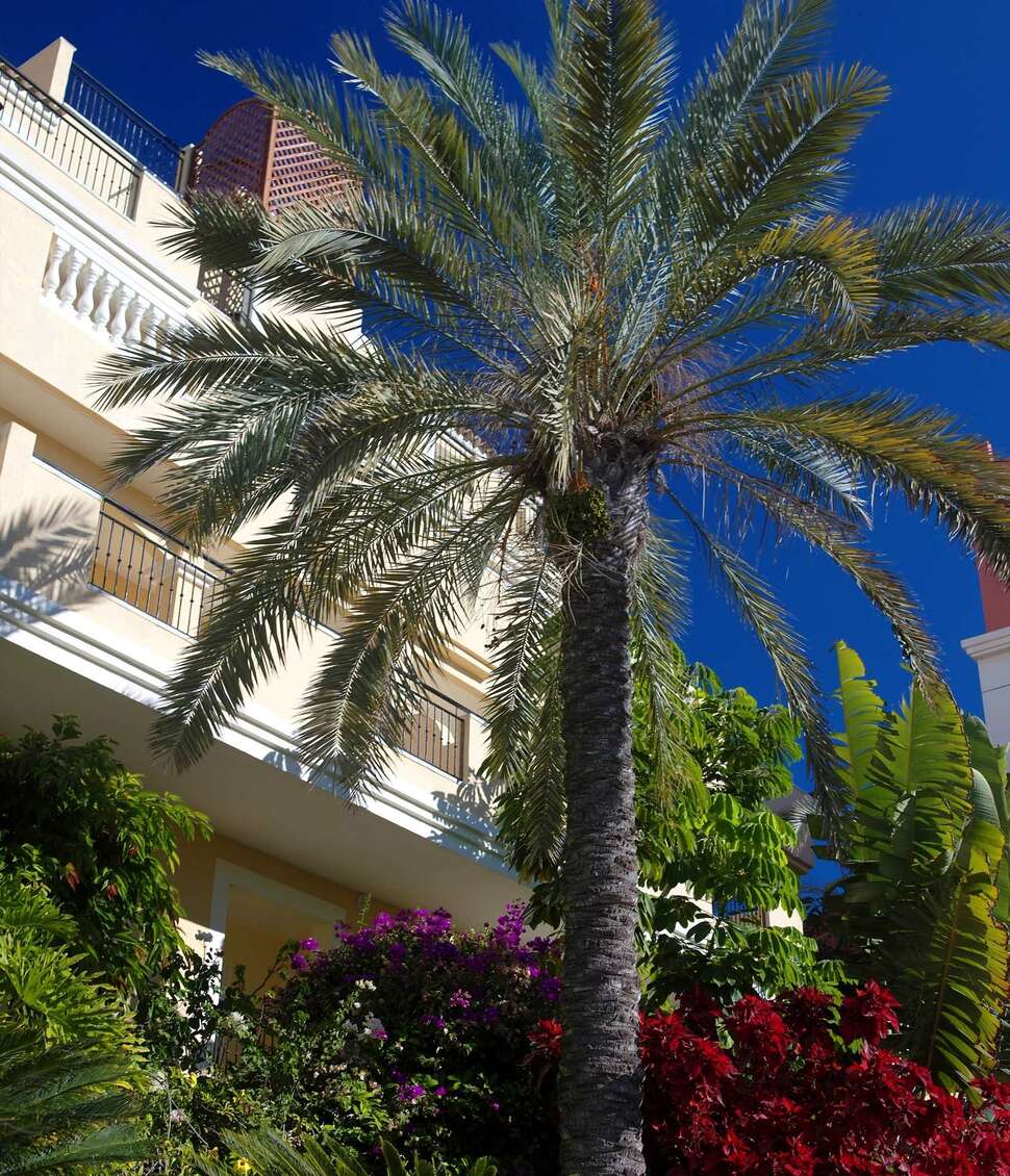 Een foto van de buitenkant van Appartementen Granada Park