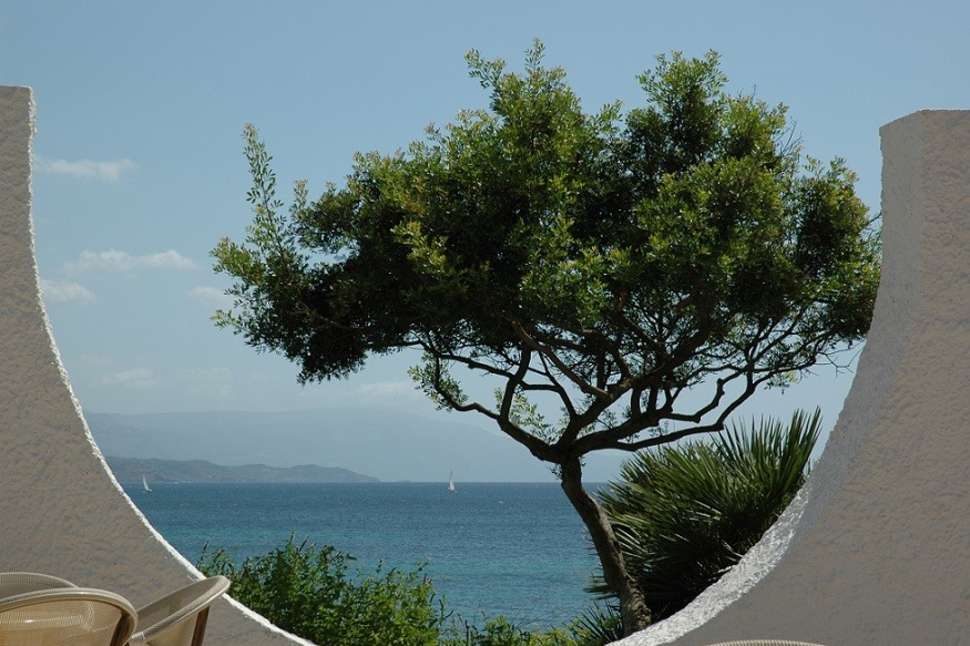 Een foto van Hotel Punta Negra