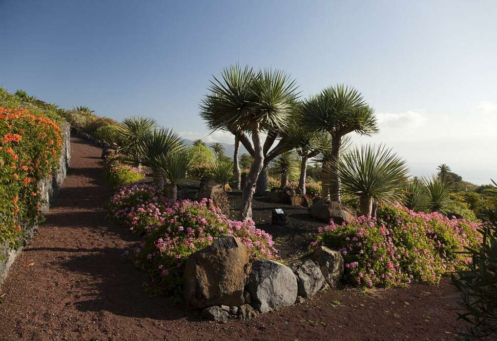Ein Foto von der Terrasse im Parador de La Palma