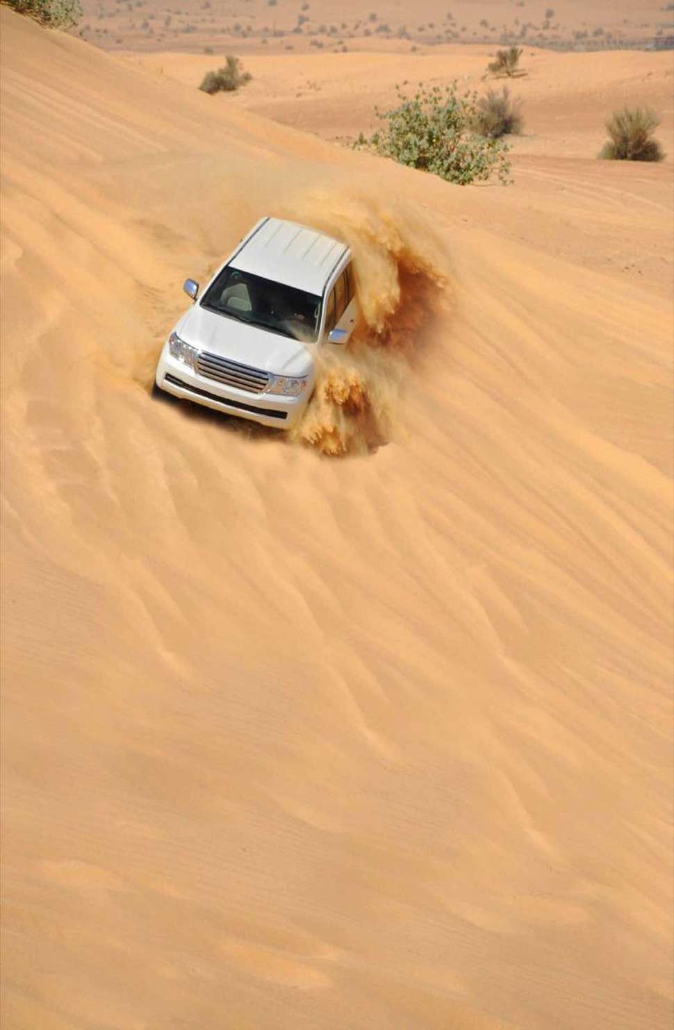 Ein Foto Aldhafra Resort