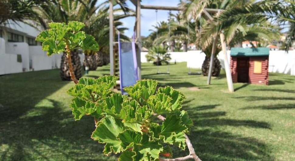 Ein Foto Hotel Torre Praia