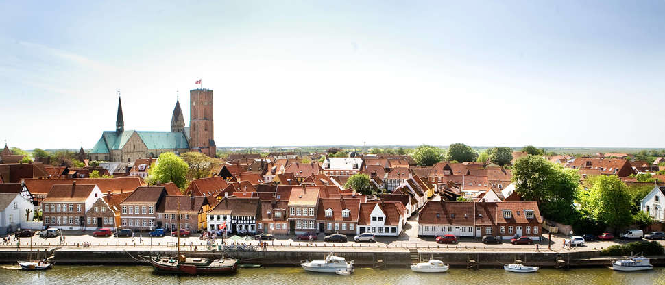 Een foto van Ribe Byferie