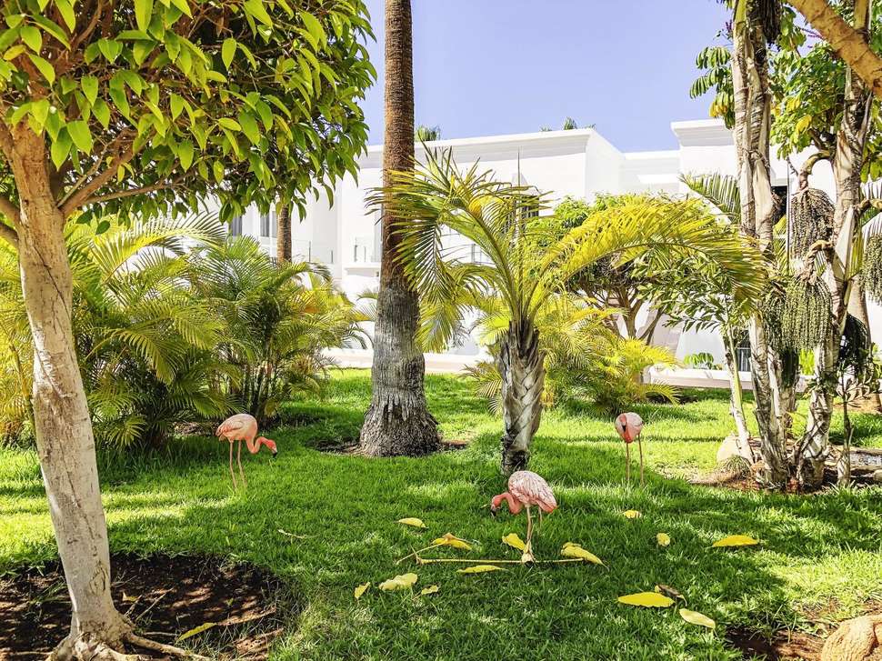 Een foto van het terras bij Flamingo Beach Mate