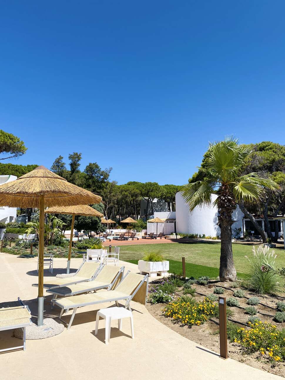 Een foto van Hotel Mare Pineta