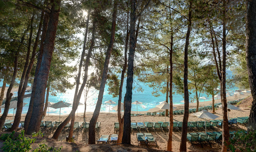 Een foto van het strand bij Candia Park Village