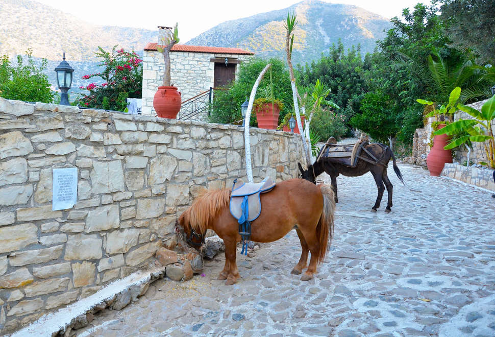Ein Foto von den Einrichtungen im Stone Village Petrino Horio