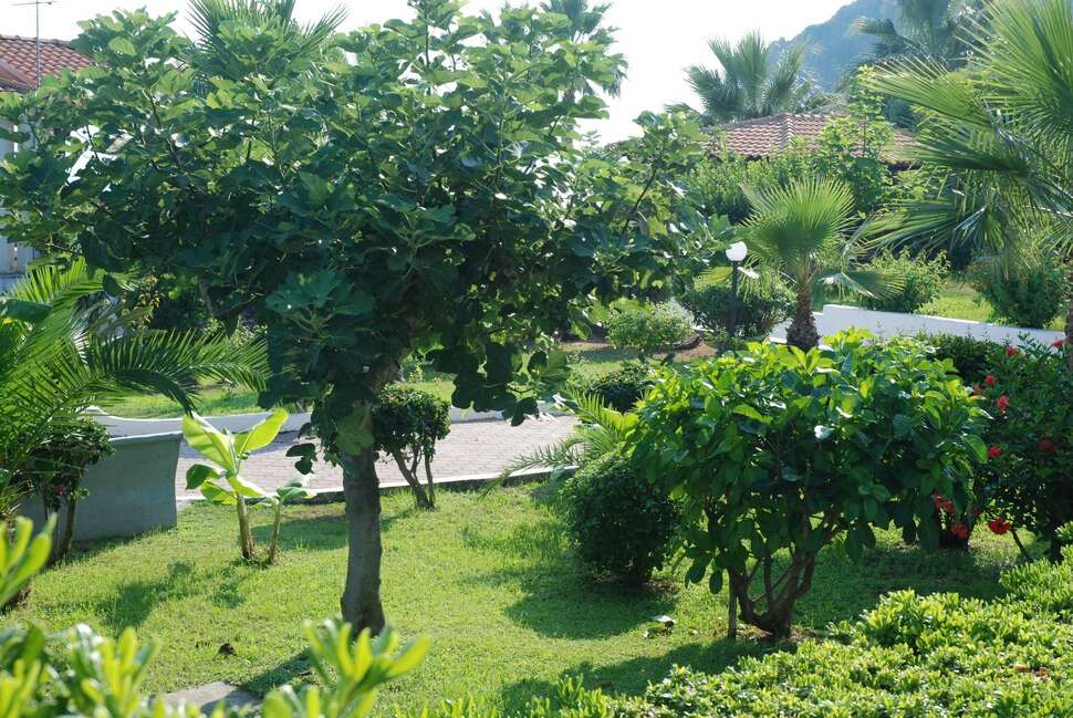 Een foto van Villaggio Baia d'Ercole