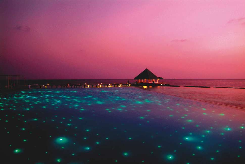 Ein Foto Coco Bodu Hithi
