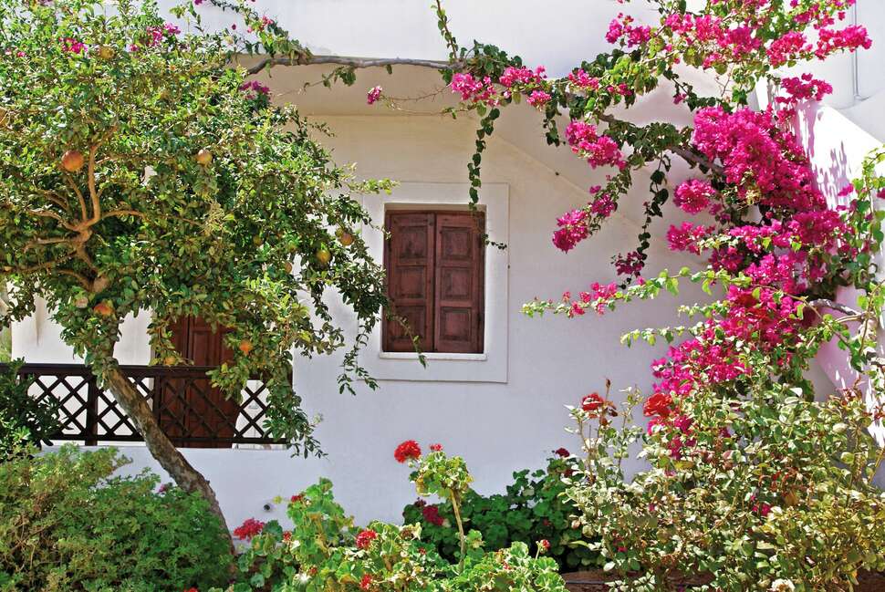 Een foto van Amoopi Bay Hotel