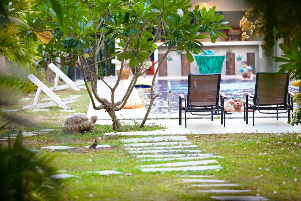 Een foto van Nai Yang Beach Resort
