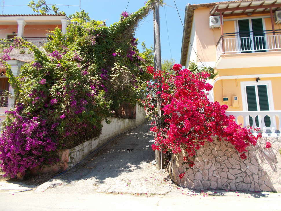 Een foto van de buitenkant van Kavos Fantasia Complex