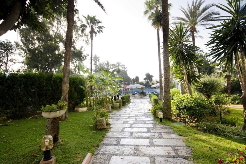 Een foto van het terras bij Hotel Palmasol