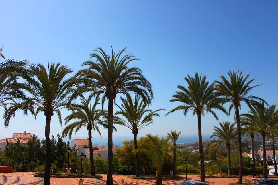 Een foto van El Capistrano Village