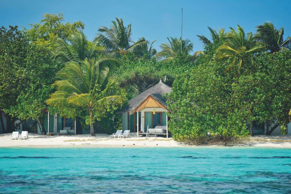 Een foto van Safari Island