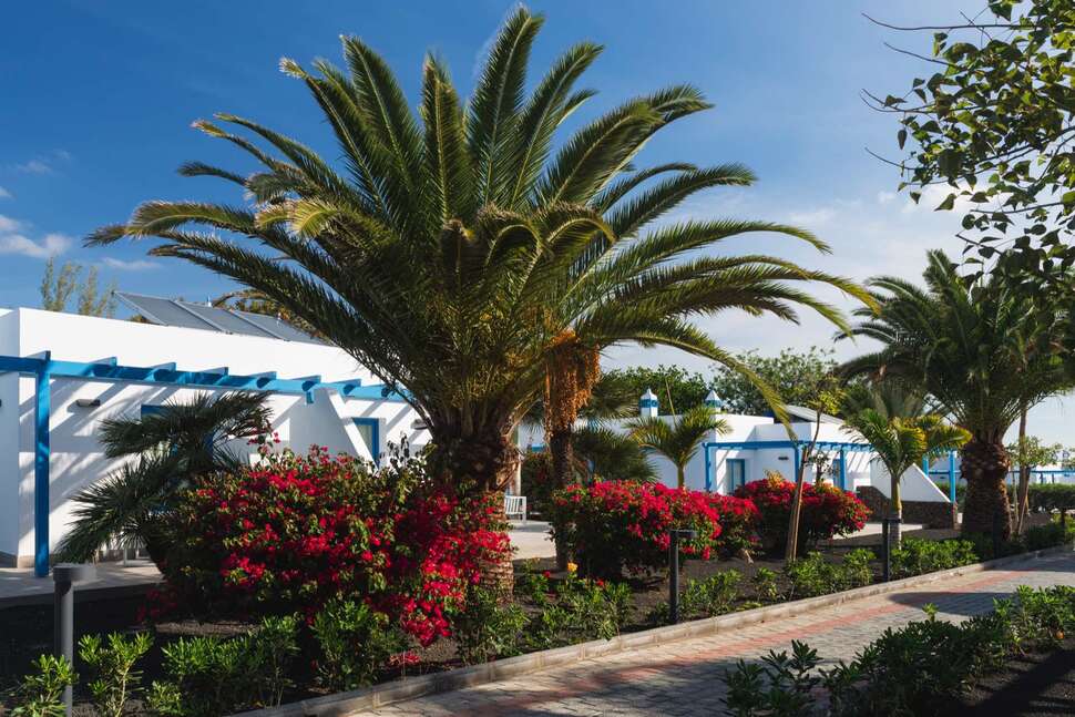 Een foto van het terras bij Elba Lanzarote Premium Suites