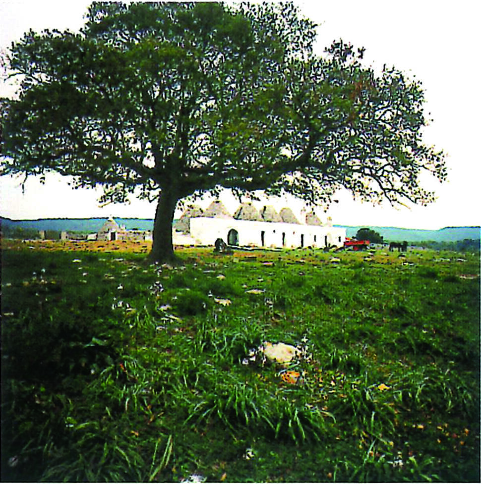 Een foto van Masseria Parco delle Querce