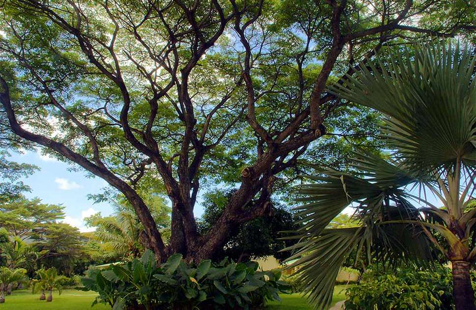 Een foto van de buitenkant van Anelia Resort & Spa