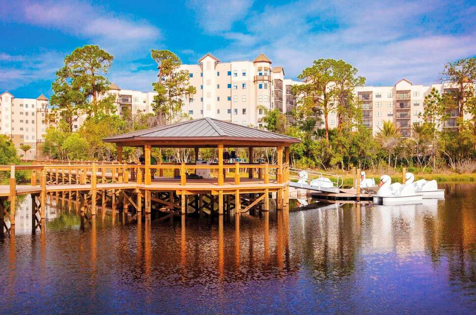 Een foto van The Grove Resort & Spa