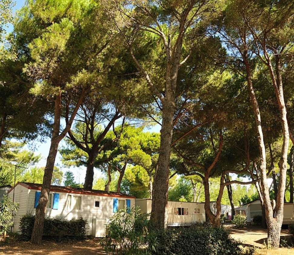 Een foto van de buitenkant van Camping Le Domaine De La Yole