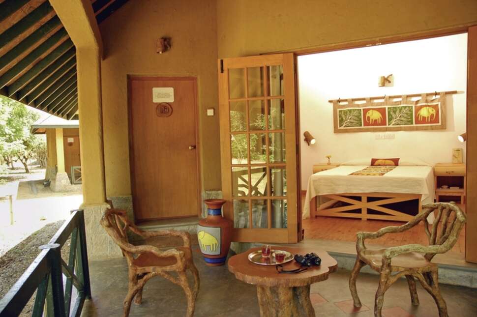 Ein Foto Cinnamon Wild Yala