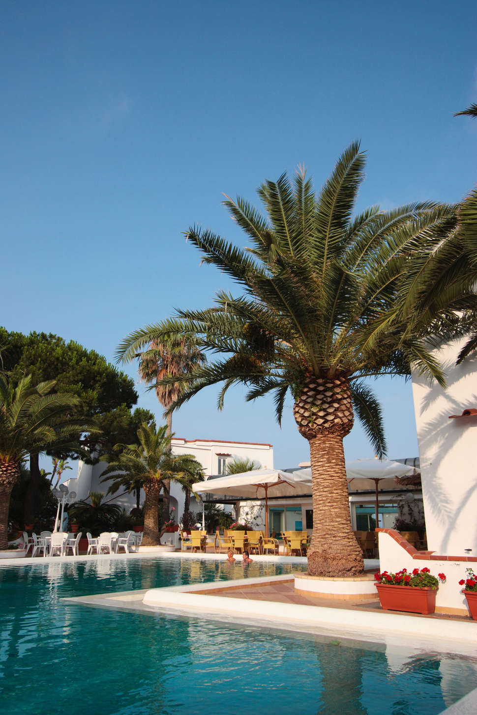 Een foto van Royal Palm Hotel Terme