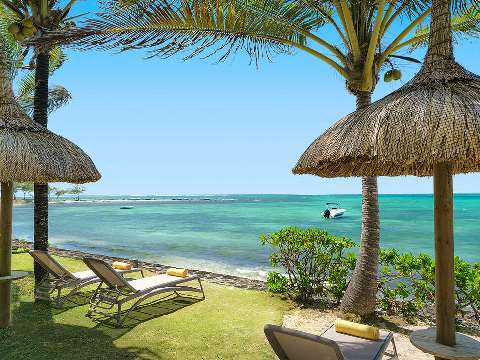 Een foto van Tropical Attitude