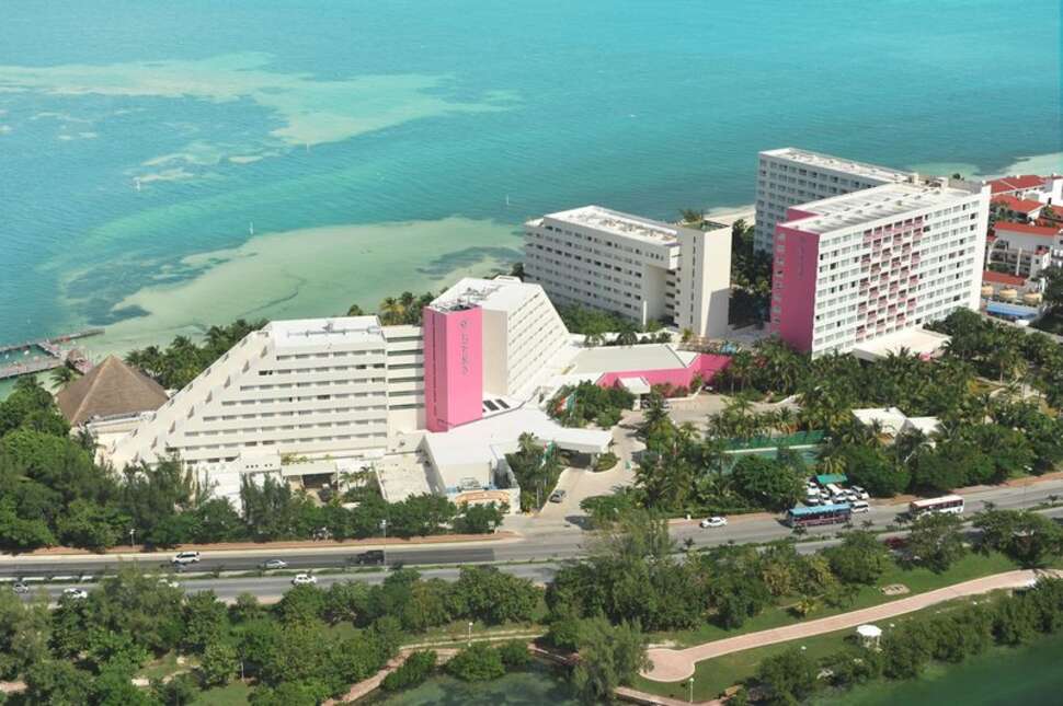 Een foto van Oasis Palm