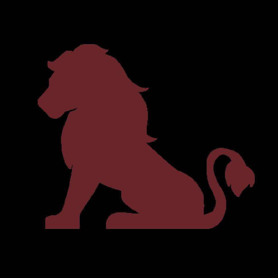 Een foto van Lion Sofia