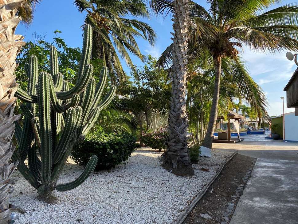 Een foto van Aruba Blue Village