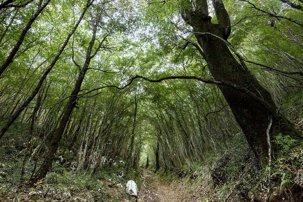Een foto van Masseria Parco delle Querce