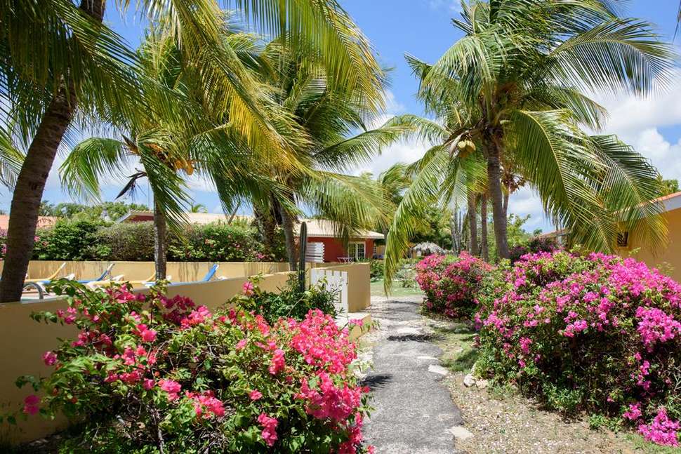 Een foto van The Pearl of the Caribbean