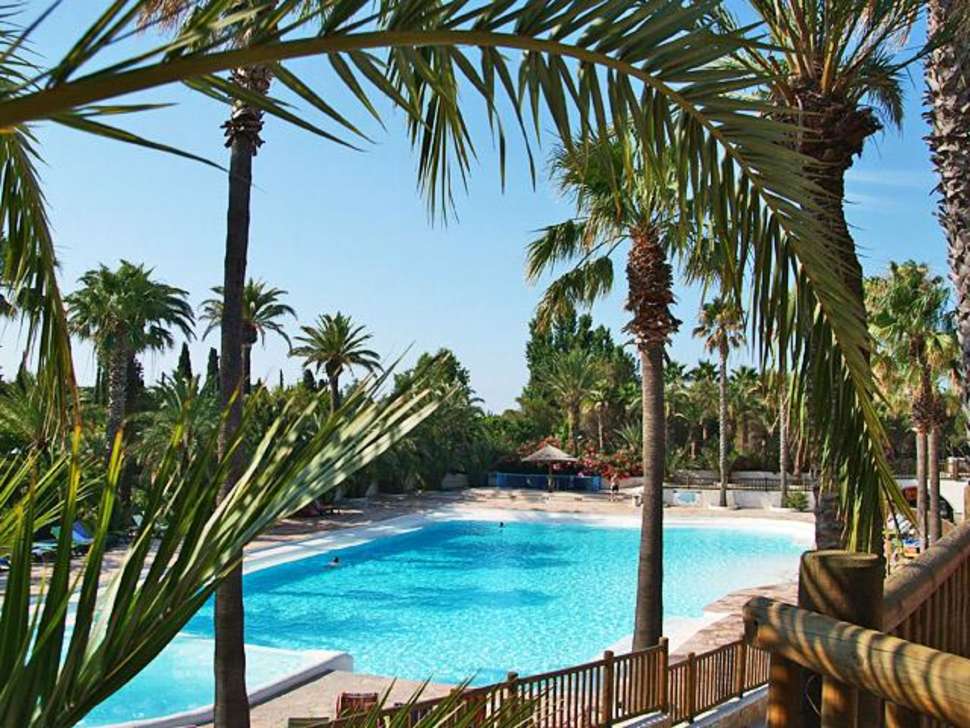 Een foto van het zwembad bij Camping La Baume - La Palmeraie