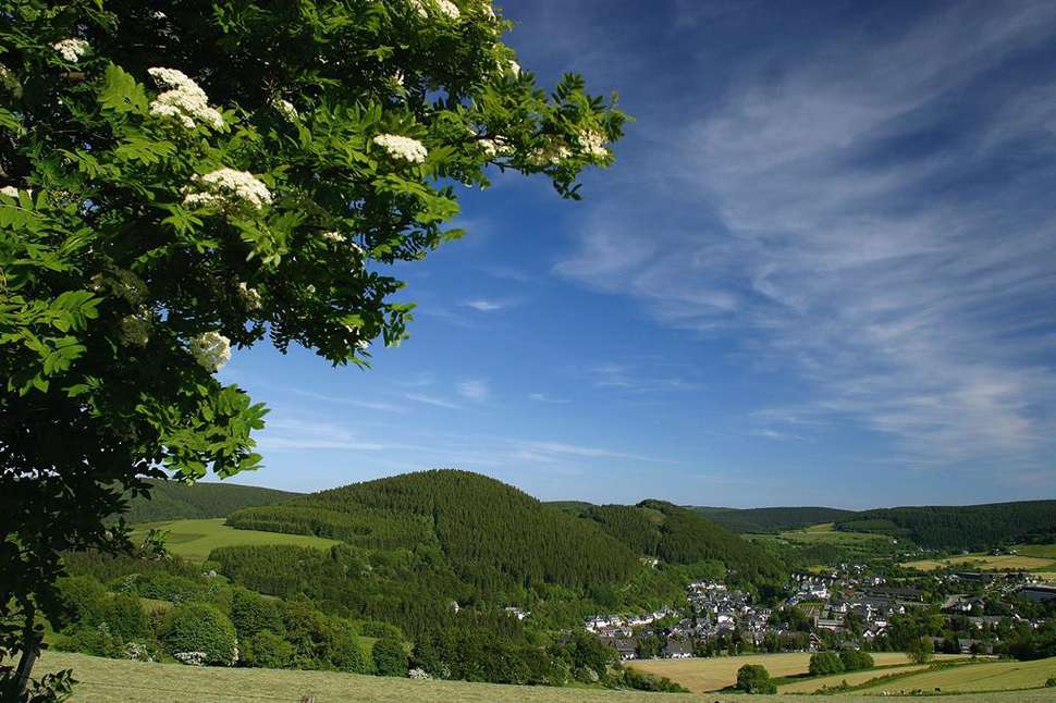 Een foto van Wald Hotel Willingen