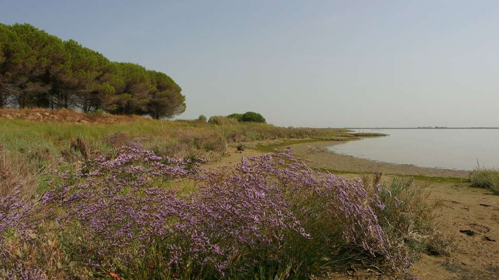 Een foto van Marina Azzurra Resort