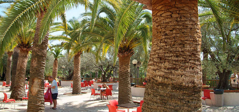 Een foto van de faciliteiten bij Camping La Baume - La Palmeraie