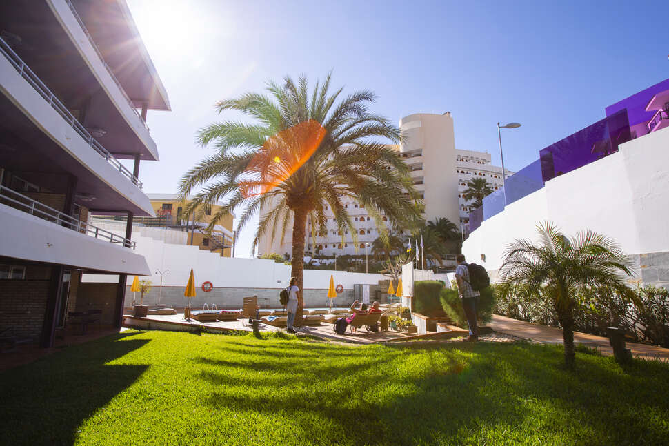 Een foto van het terras bij Las Jacarandas Beach