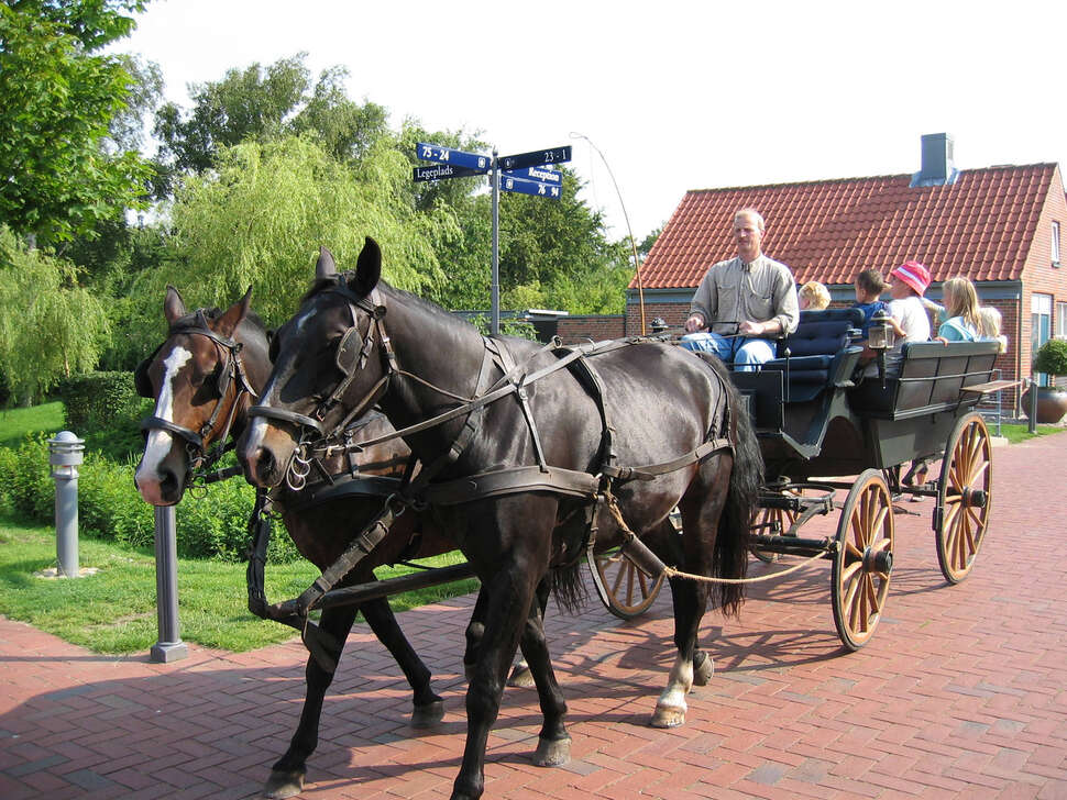 Een foto van Ribe Byferie