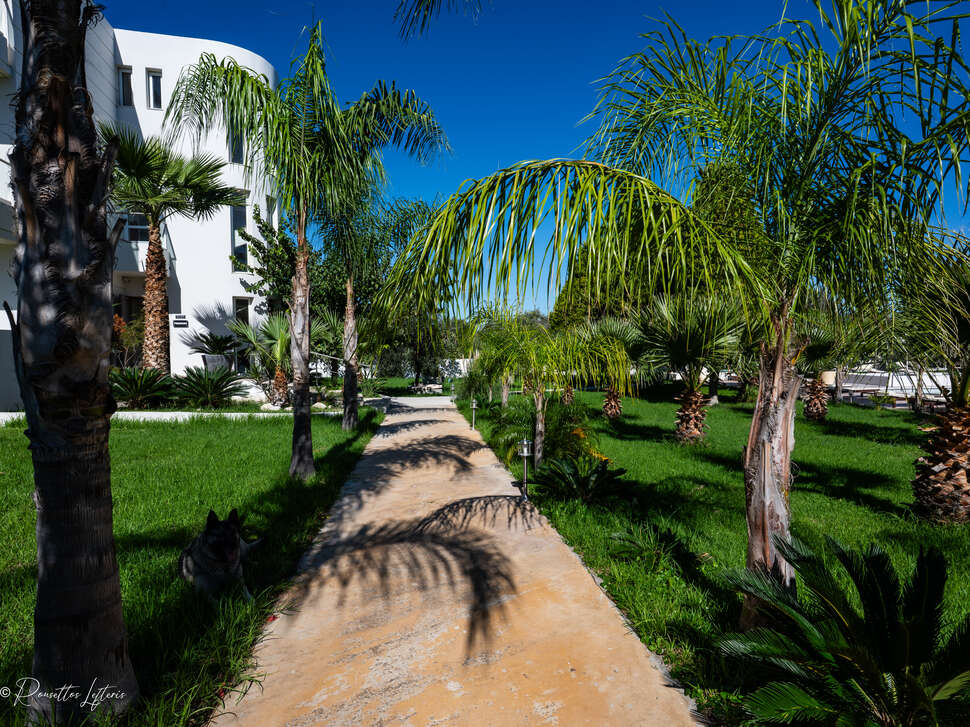 Ein Foto Evita Studios