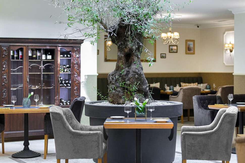 Een foto van Ventus Rosa Boutique ApartHotel