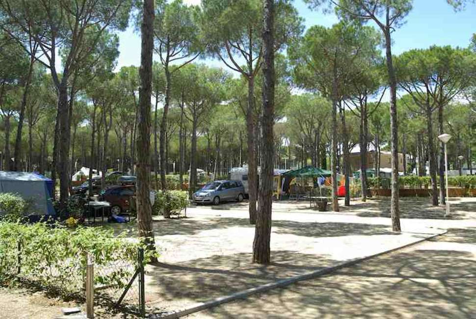 Een foto van Cypsela Resort