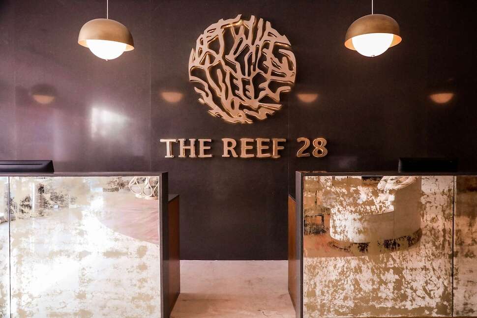 Een foto van The Reef 28