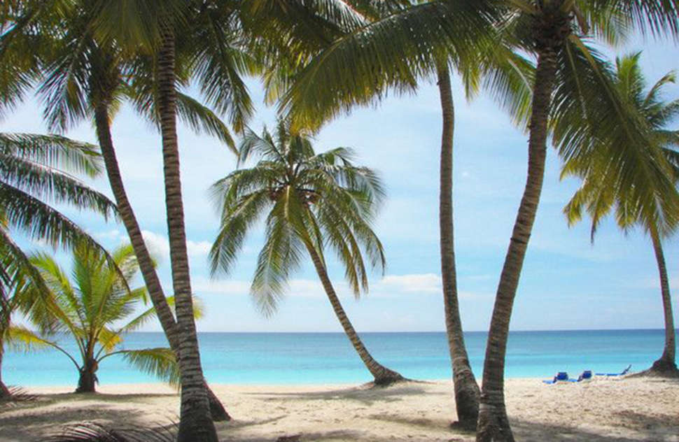 Een foto van Whala!Bavaro