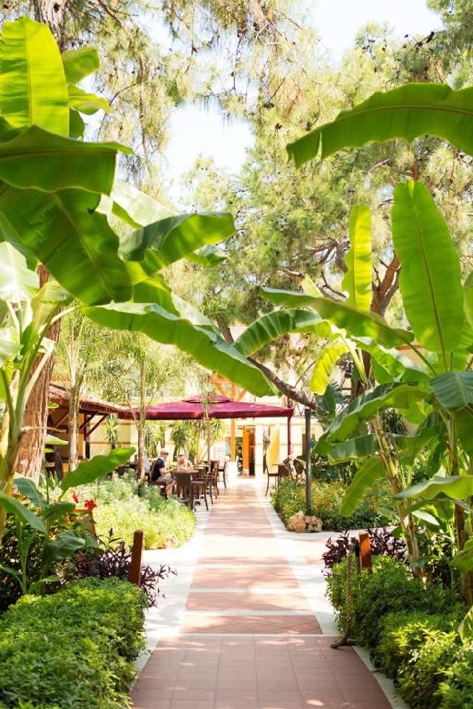 Een foto van het terras bij Robinson Club Camyuva