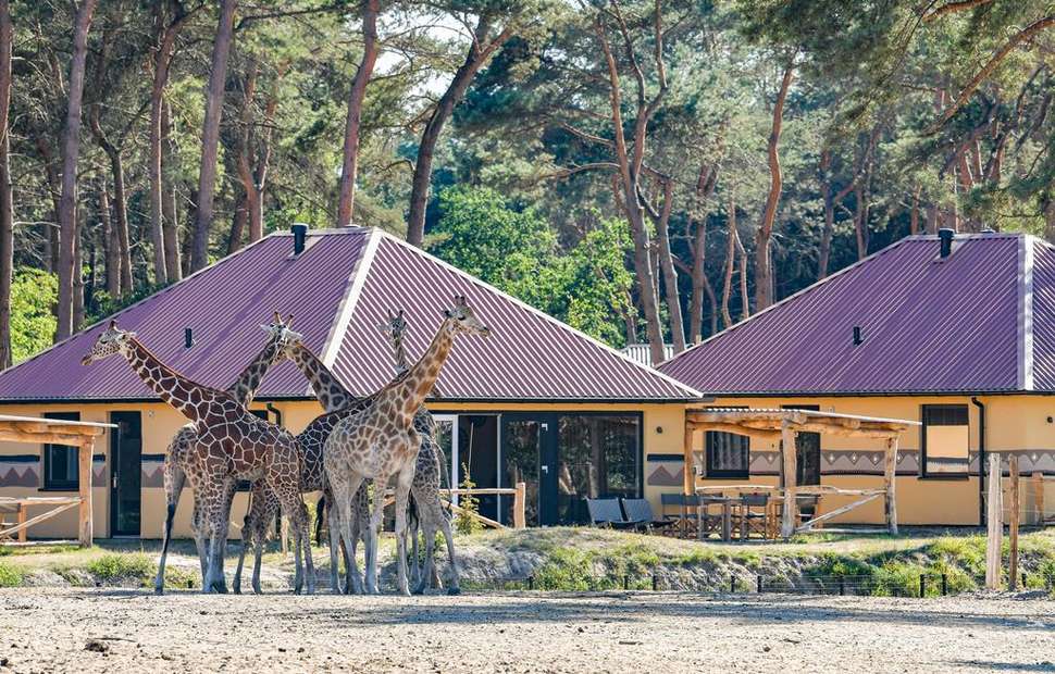 Een foto van Safari Resort Beekse Bergen