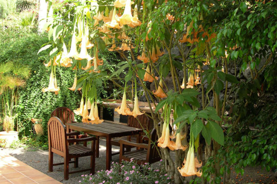 Een foto van Bungalows & Villas La Palma Jardin