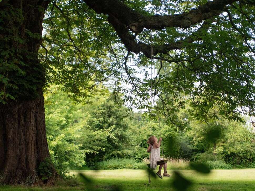 Een foto van Ecolodges de Dreef