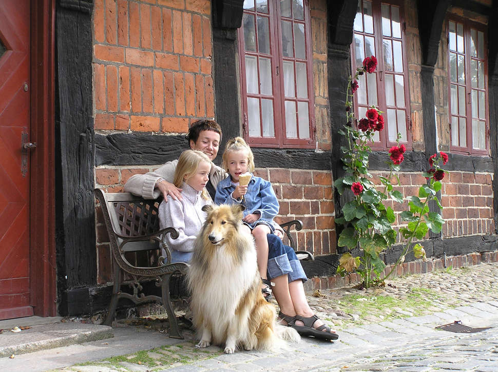 Een foto van Ribe Byferie